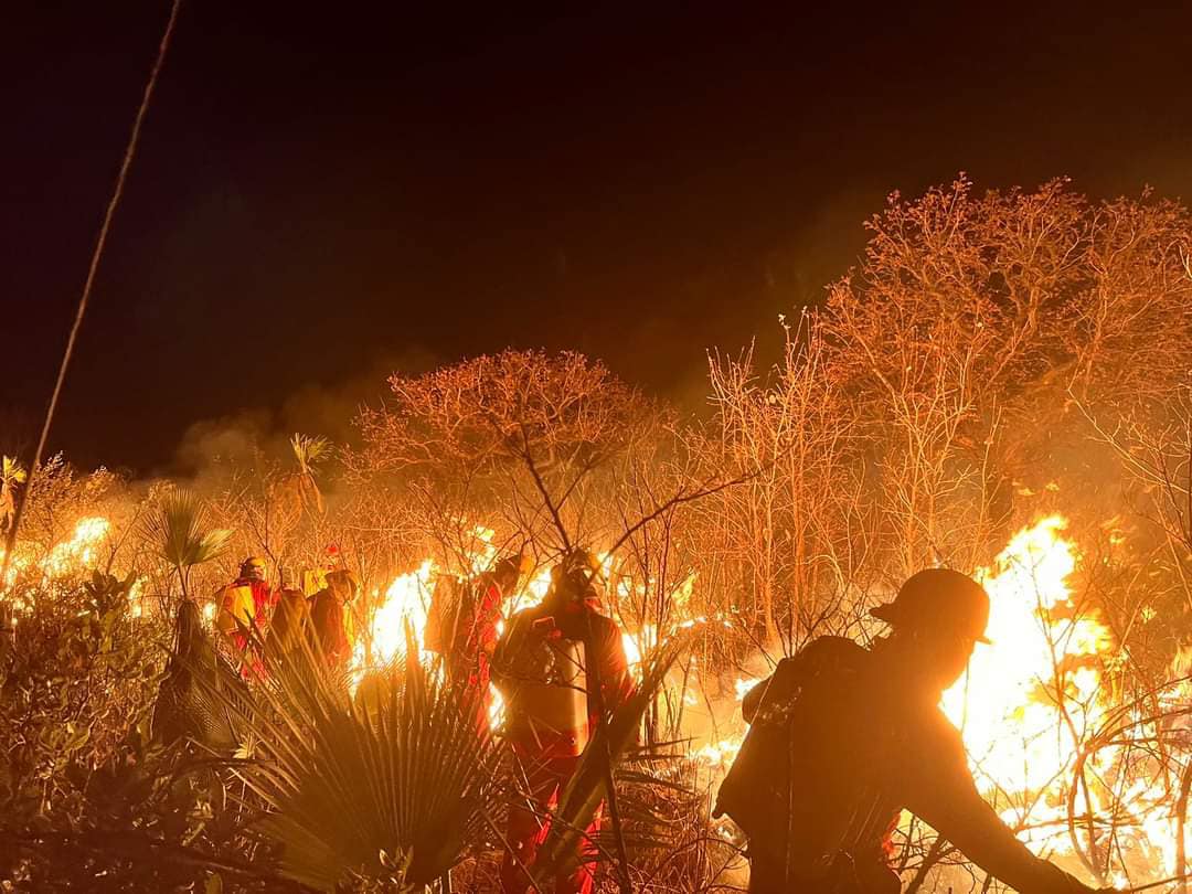 Incendio en Chila de las Flores consume 200 hectáreas